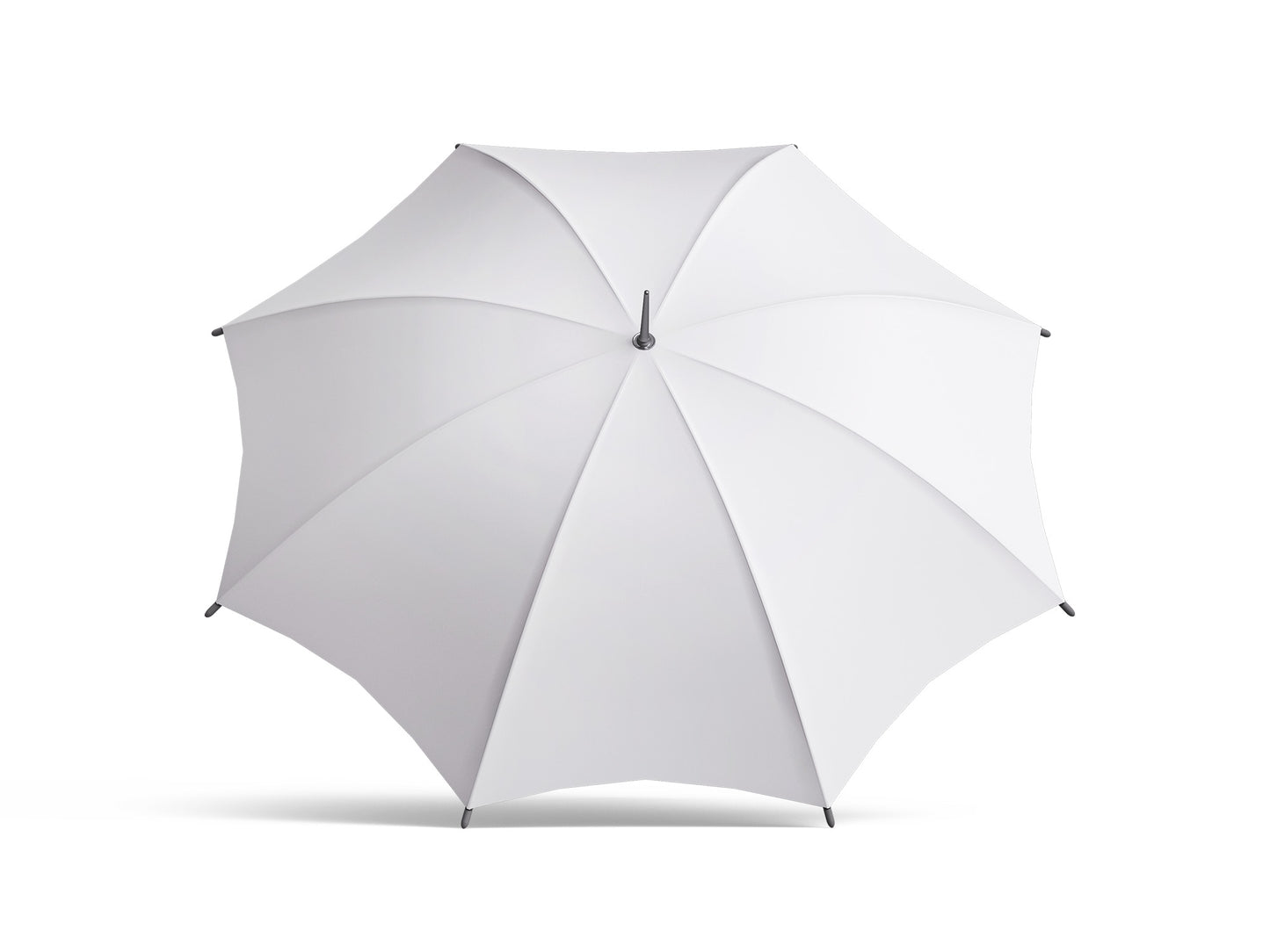 Umbrella - White