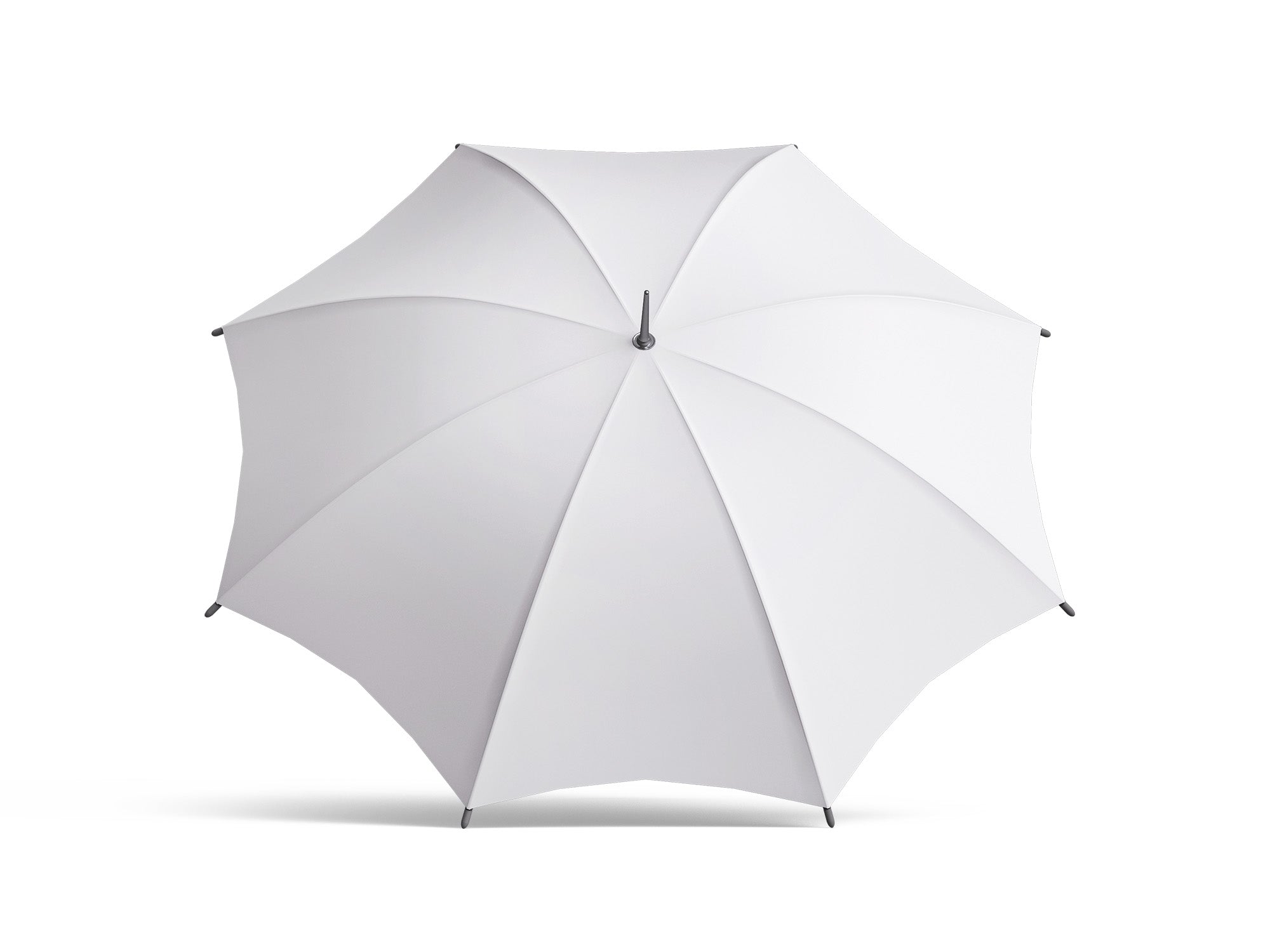 Umbrella - White