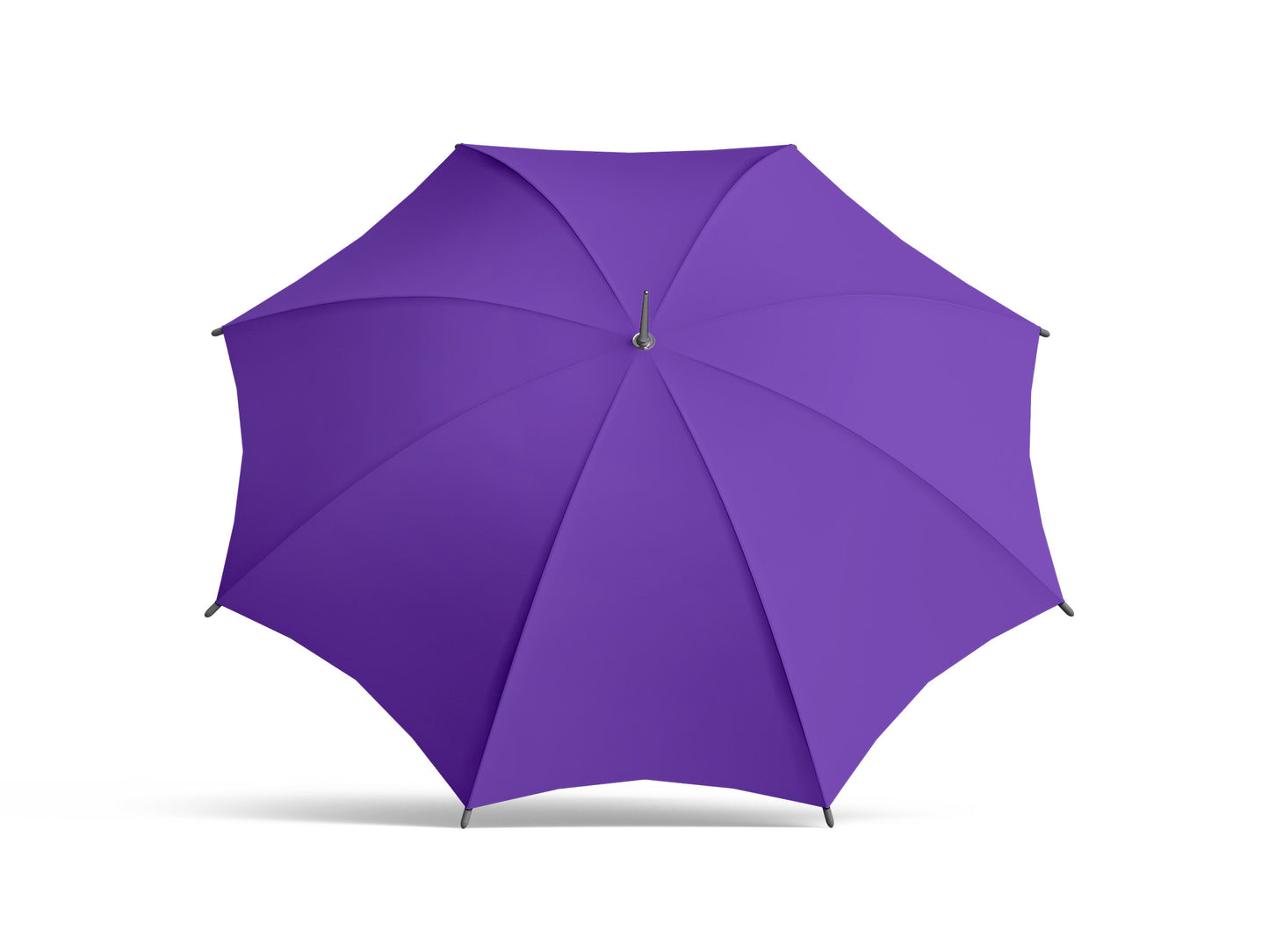 Umbrella - Purple